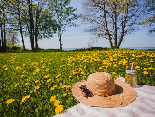 Majówka na Woli – miejski klimat, historia i zielone oazy