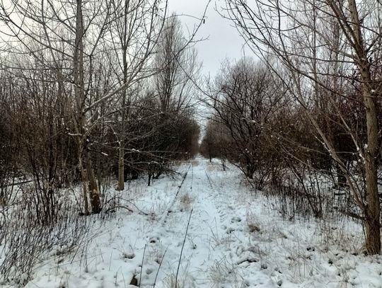 Mieszkańcy Odolan chcą stworzenia parku linearnego. Niemal 800 osób podpisało petycję Mieszkańcy Odolan chcą stworzenia parku linearnego. Niemal 800 osób podpisało petycję