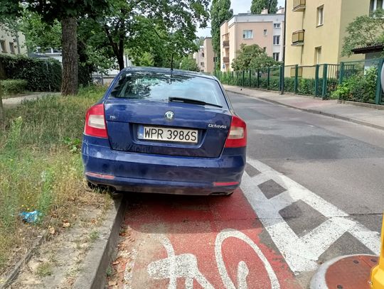 Mistrzowie parkowania #14. Na zakazie, na trawniku, na chodniku