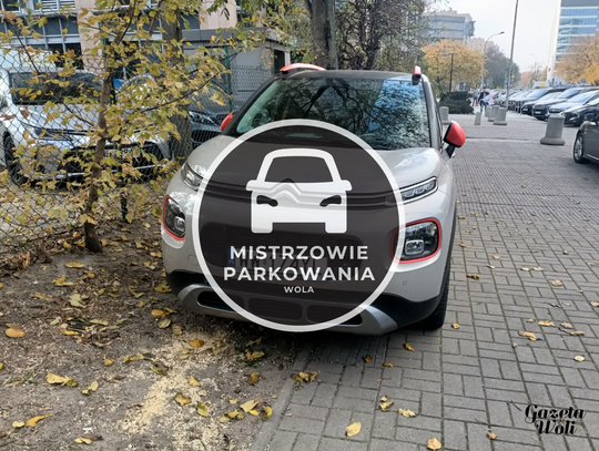 Mistrzowie parkowania #27. Na zakazie, na trawniku, na chodniku