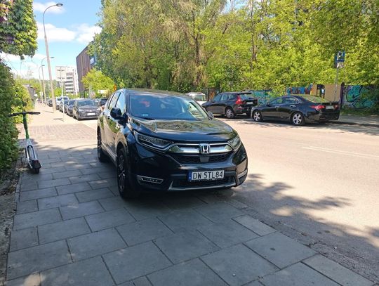 Mistrzowie parkowania #53. Na zakazie, na trawniku, na chodniku