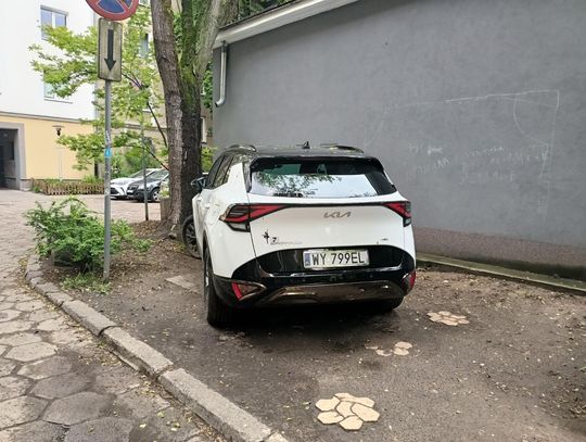 Mistrzowie parkowania #55. Na zakazie, na trawniku, na chodniku