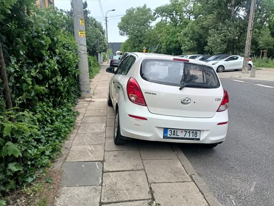 Mistrzowie parkowania #58. Na zakazie, na trawniku, na chodniku