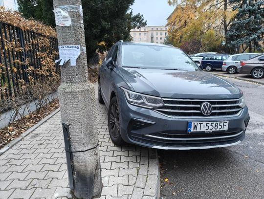 Mistrzowie Parkowania #62. Na zakazie, na trawniku, na chodniku