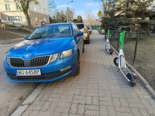 Mistrzowie Parkowania #63. Na zakazie, na trawniku, na chodniku