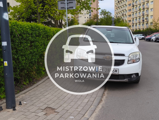 Mistrzowie parkowania #64