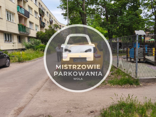 Mistrzowie parkowania #65