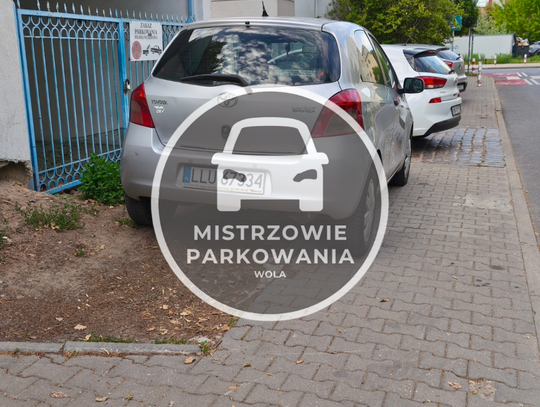 Mistrzowie parkowania #66