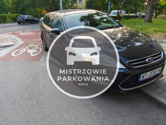 Mistrzowie parkowania #67