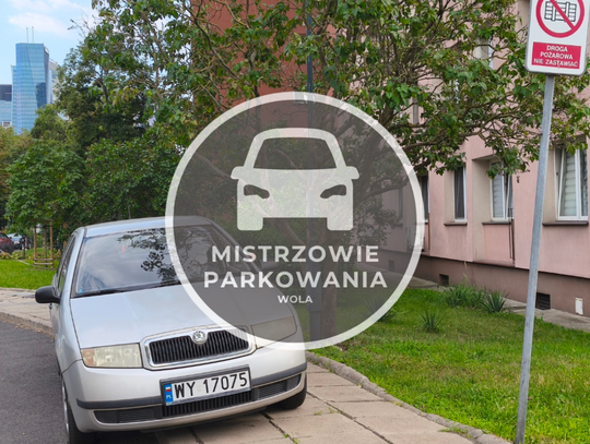 Mistrzowie parkowania #69
