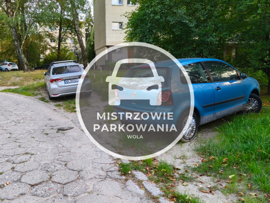 Mistrzowie parkowania #70