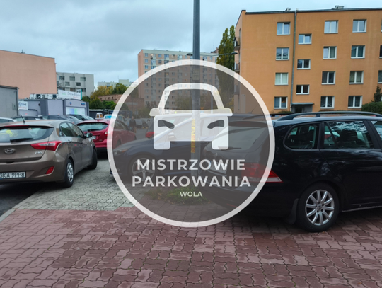 Mistrzowie parkowania #73