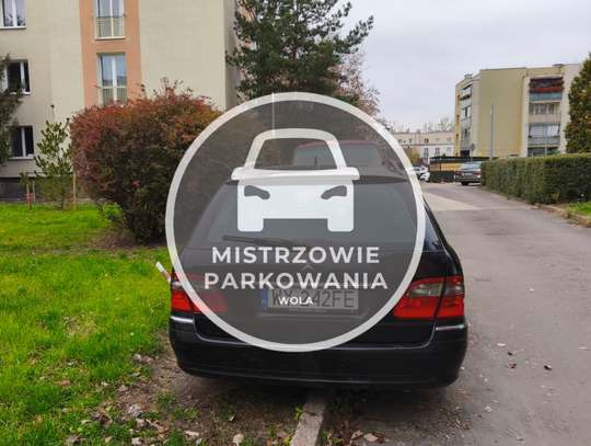 Mistrzowie parkowania #74