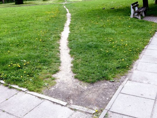 Radny Woli proponuje przedepty i eko-kratkę zamiast chodników. Chodzilibyście?