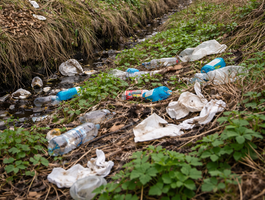 Śmieci na wałach Reduty Wolskiej Śmieci na wałach Reduty Wolskiej