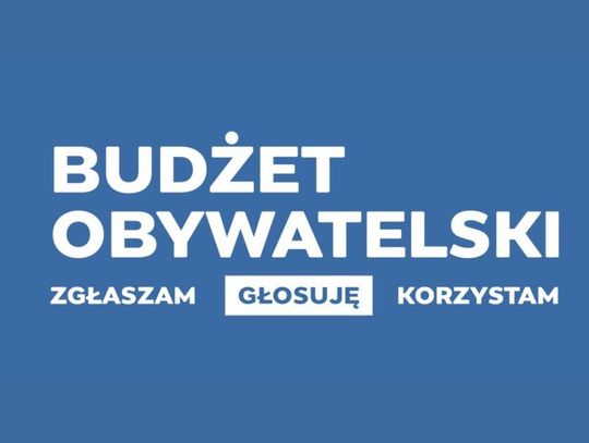 Zielone podwórka, nowe miejsca rekreacji i bezpieczniejsze ulice. Mieszkańcy zgłosili projekty do Budżetu Obywatelskiego