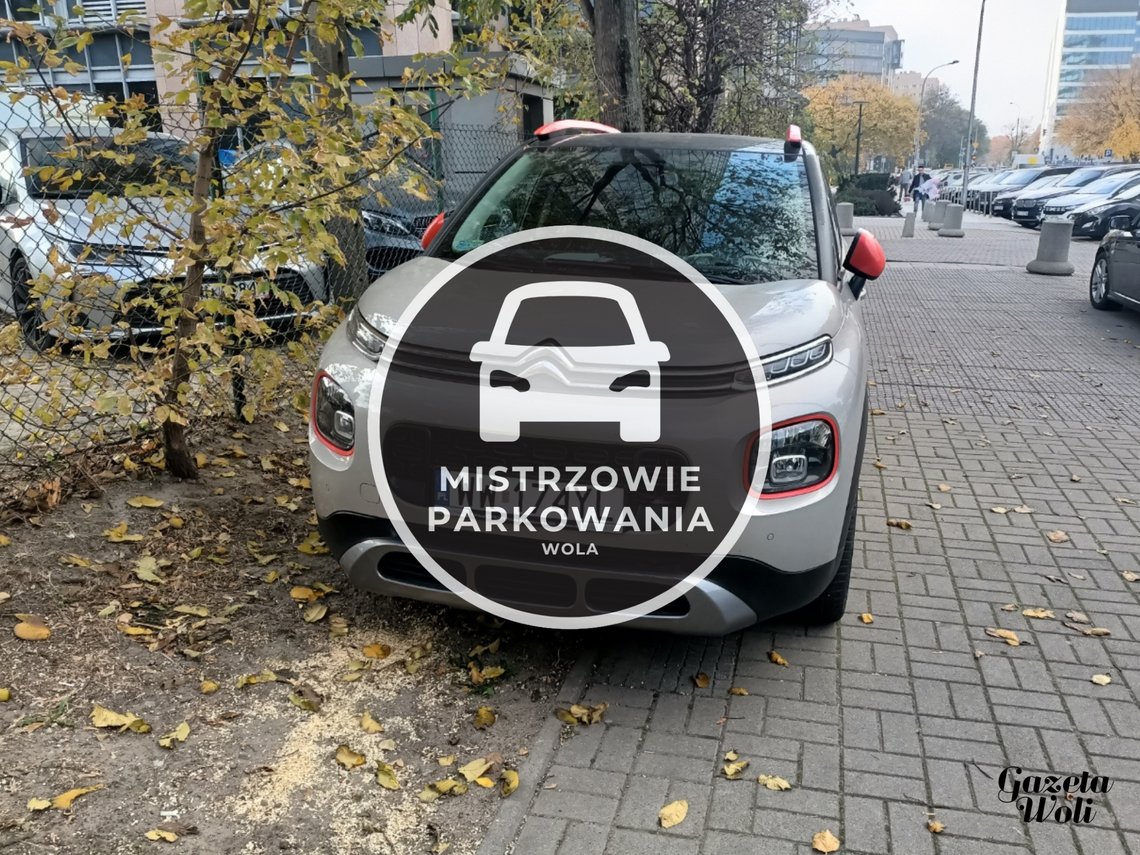 Mistrzowie parkowania #27. Na zakazie, na trawniku, na chodniku