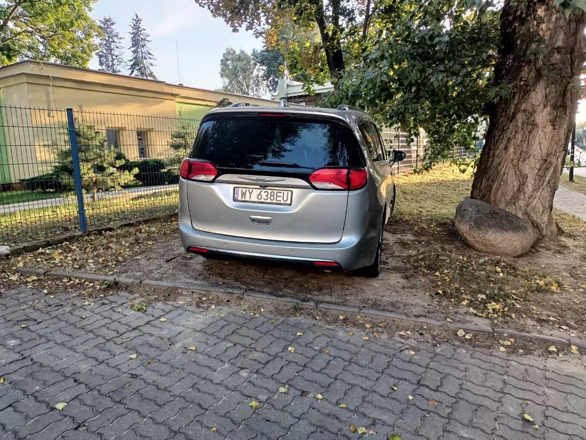 Mistrzowie Parkowania #60. Na zakazie, na trawniku, na chodniku