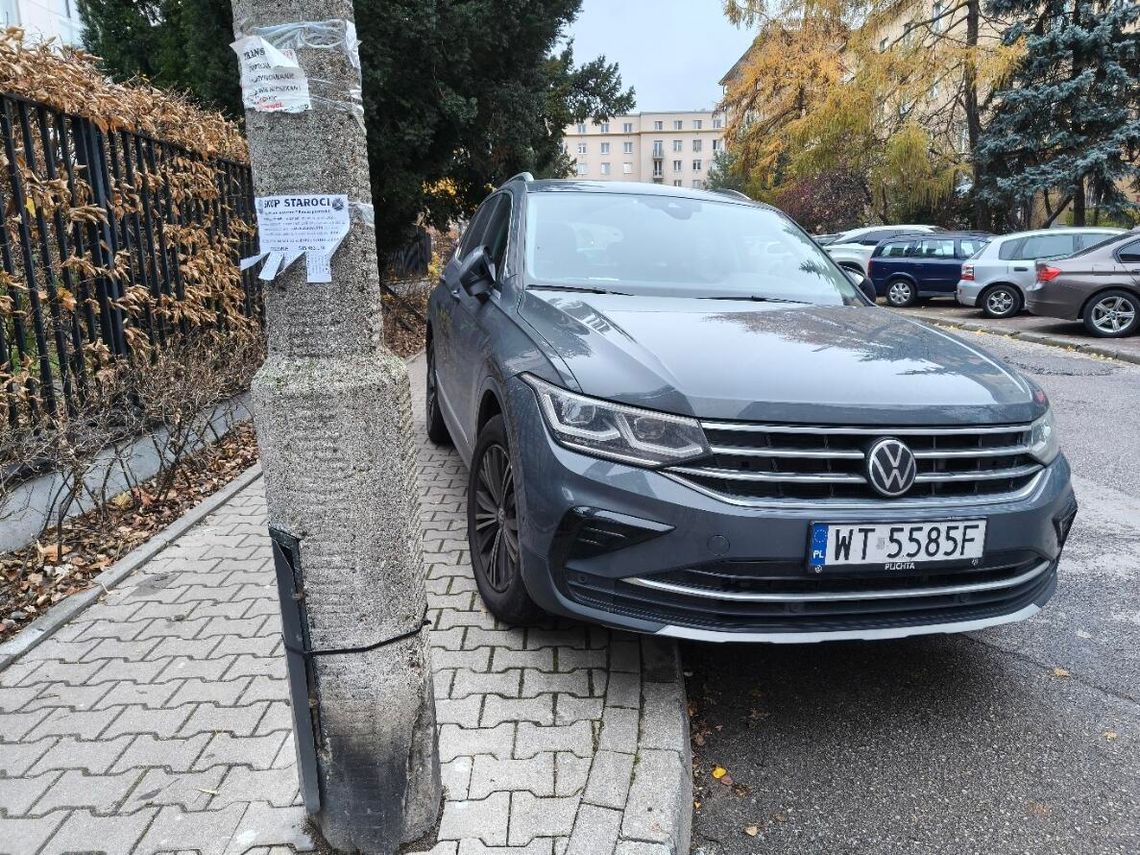 Mistrzowie Parkowania #62. Na zakazie, na trawniku, na chodniku