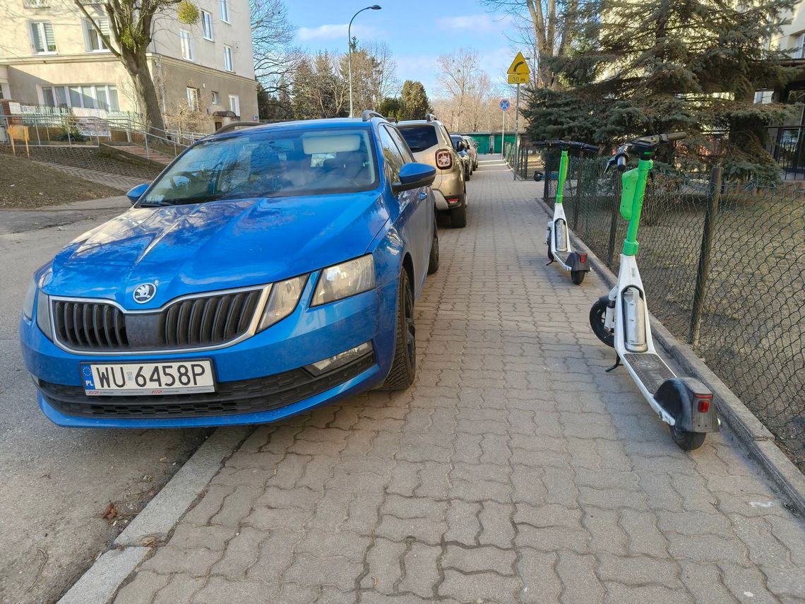 Mistrzowie Parkowania #63. Na zakazie, na trawniku, na chodniku