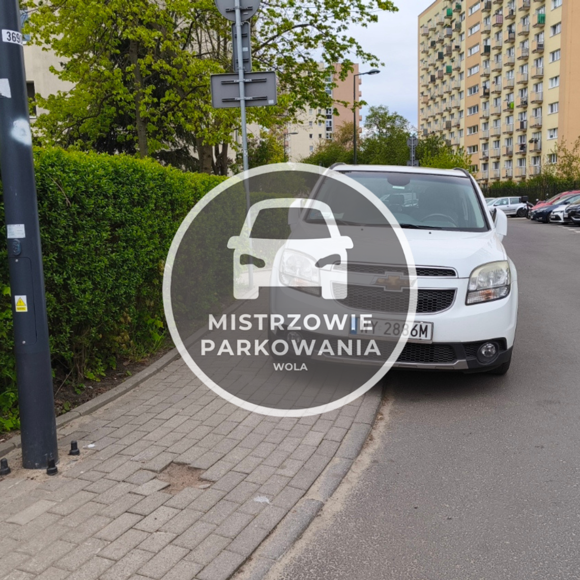 Mistrzowie parkowania #64