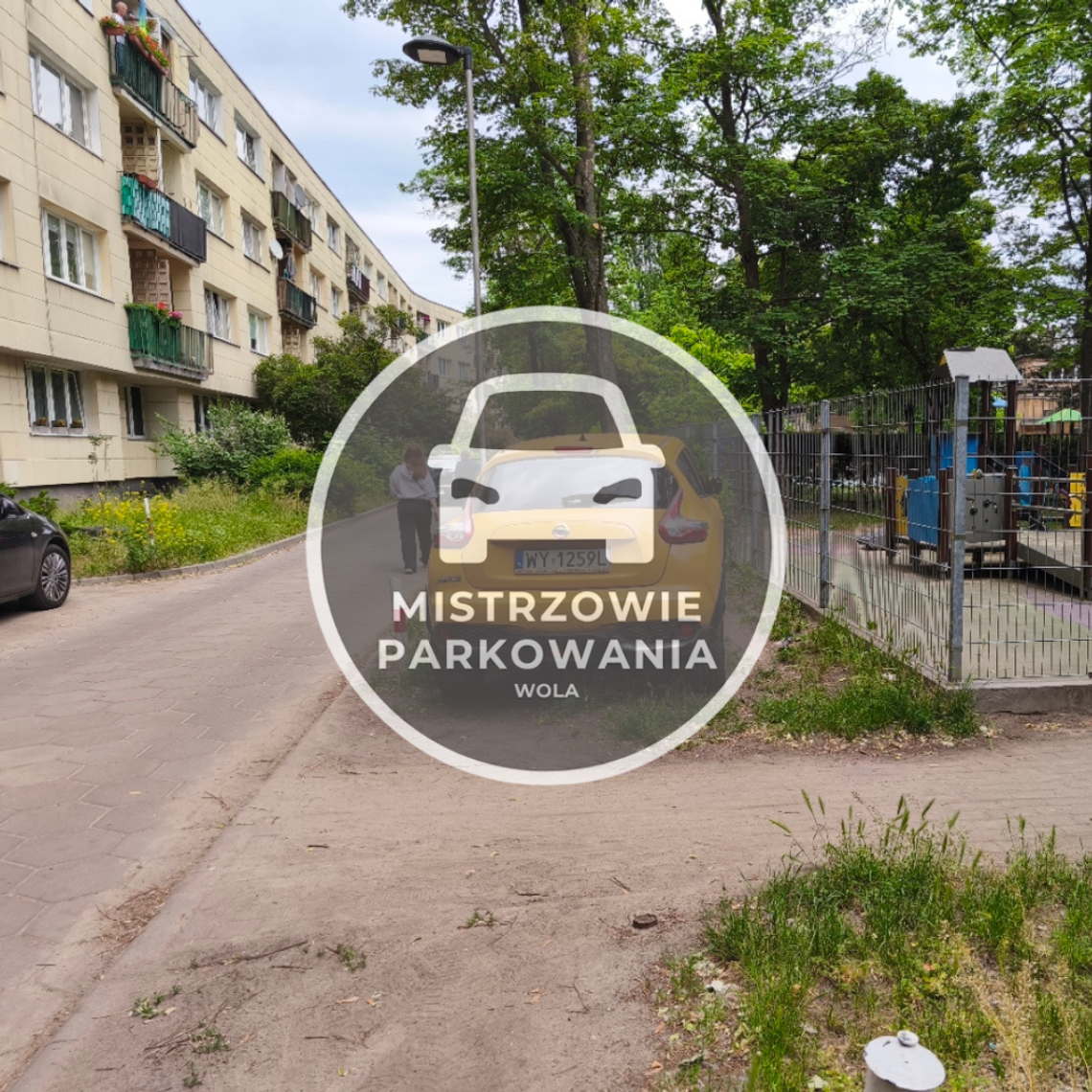 Mistrzowie parkowania #65 Mistrzowie parkowania #65
