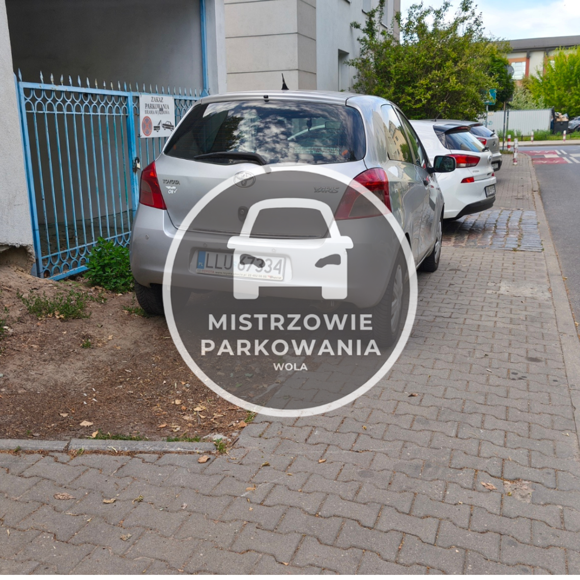 Mistrzowie parkowania #66 Mistrzowie parkowania #66