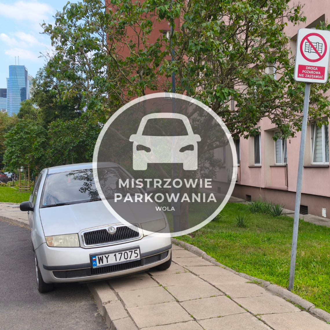 Mistrzowie parkowania #69 Mistrzowie parkowania #69