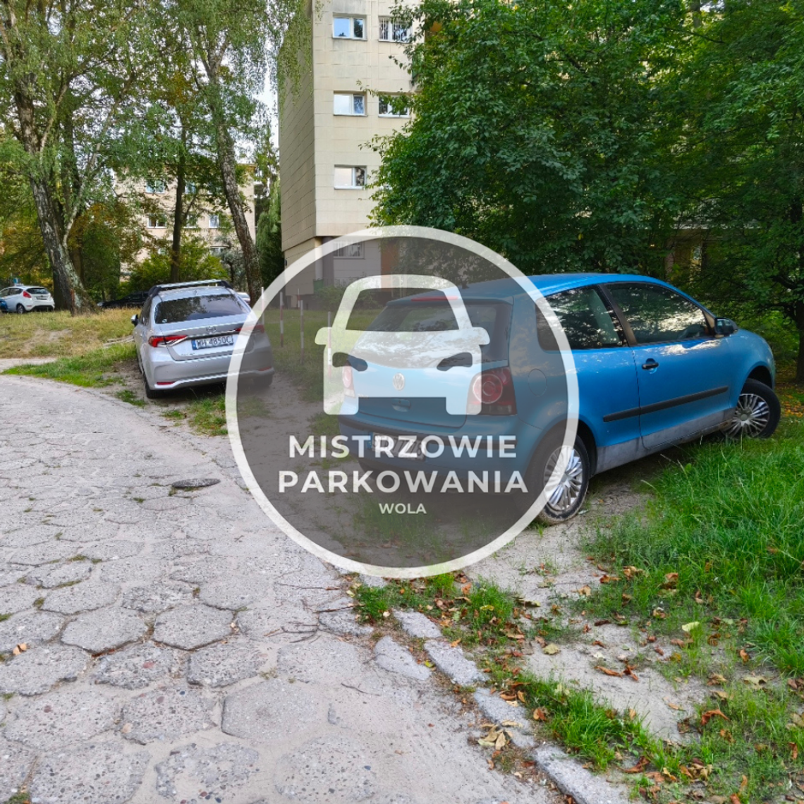Mistrzowie parkowania #70 Mistrzowie parkowania #70