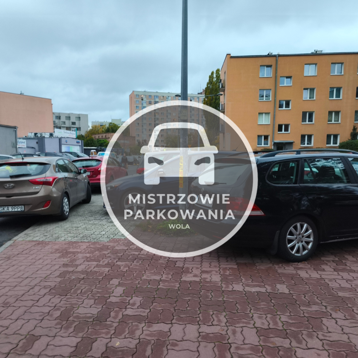 Mistrzowie parkowania #73
