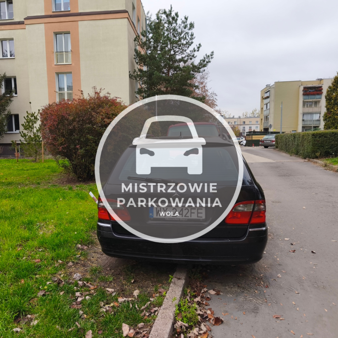 Mistrzowie parkowania #74 Mistrzowie parkowania #74