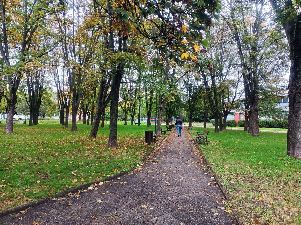 "Wielka potrzeba tego rodzaju przestrzeni". Teren za PDT-em zamieni się w modelowy skwer