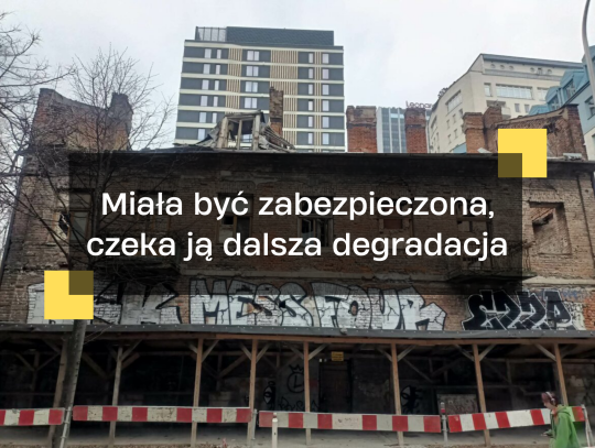 Rośliny za elekrośmieci_20