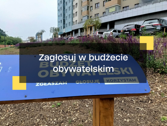 Budżet obywatelski