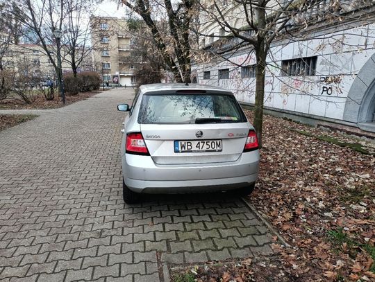 Mistrzowie parkowania #33