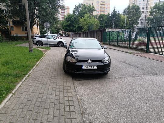 Mistrzowie parkowania #59
