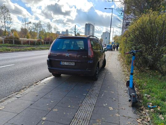 Mistrzowie Parkowania #62 Mistrzowie Parkowania #62