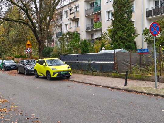 Mistrzowie parkowania #73